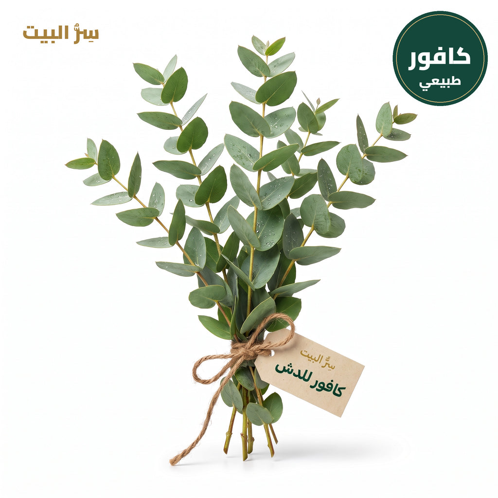 باقة كافور للدش من سر البيت — أوراق كافور طبيعية