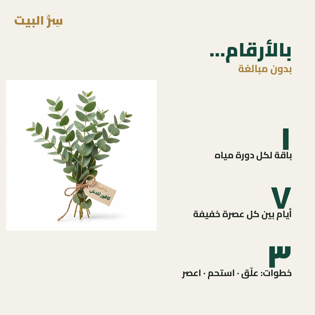 بالأرقام — باقة لكل دورة مياه وعصرة خفيفة كل أسبوع