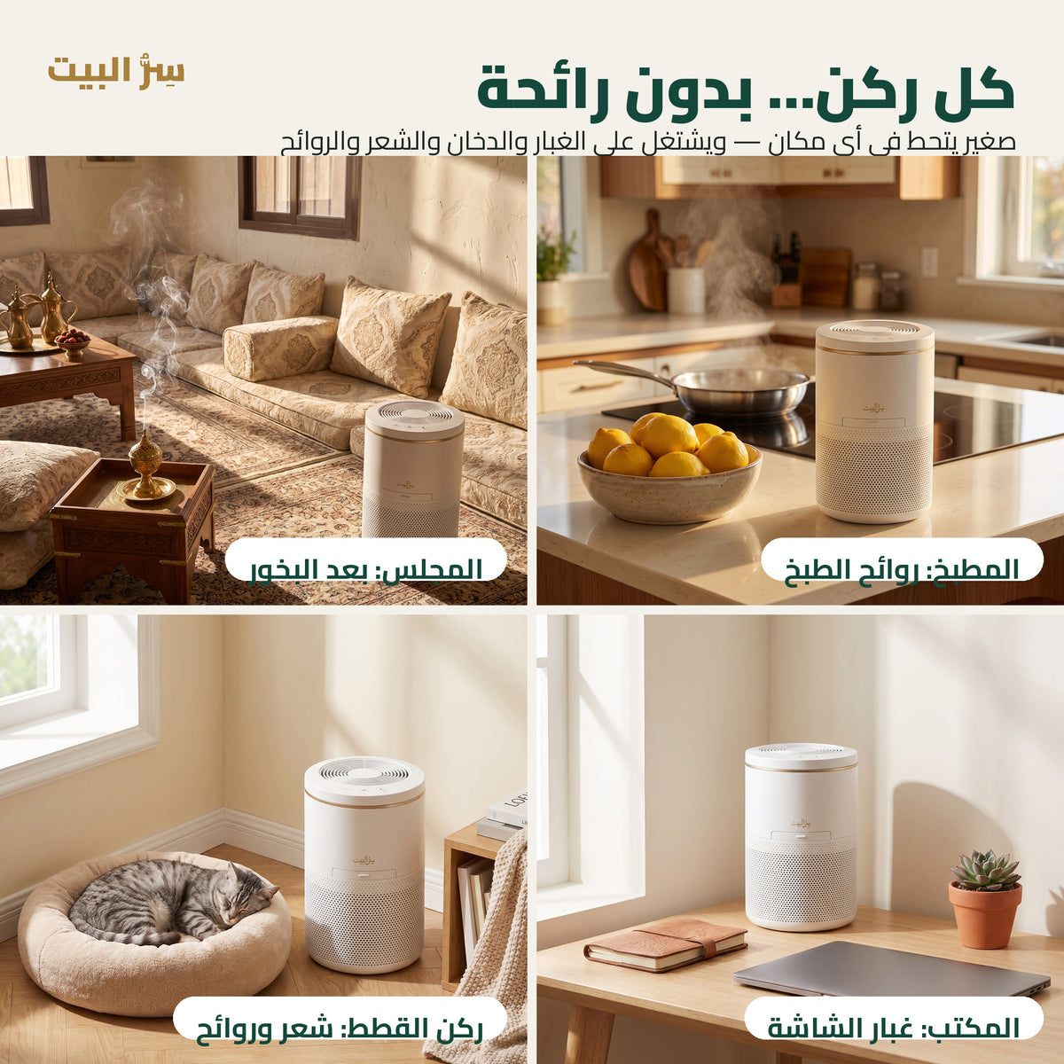 كل ركن بدون رائحة — المطبخ، المجلس، المكتب، ركن القطط