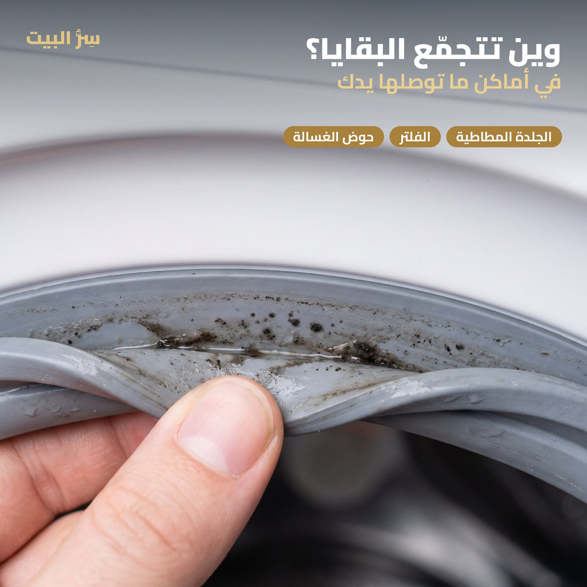 وين تتجمّع البقايا — الجلدة المطاطية والفلتر والحوض